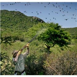Argentina Dove Hunt for 2 Hunters