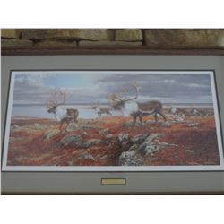 "On the Move" Framed Caribou Print