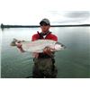 Image 1 : Alaska 4 Day - 5 Night World Class Trophy Rainbow Trout and Silver (Coho) Salmon Fishing on the Kena