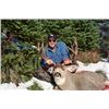 Image 1 : Combination Mule or Whitetail Deer 5-day horseback Hunt for one hunter.
