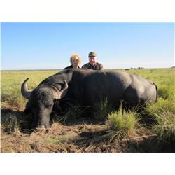 Argentina 5 Day Red Stag, Buffalo and Hybrid Sheep Hunt for 2 Hunters