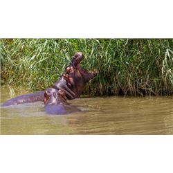 Luxury South Africa 6 Day / 6 Night Photo Safari for 2 Lucky People