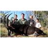 Image 1 : South Africa Plainsgame Hunt for 2 hunters