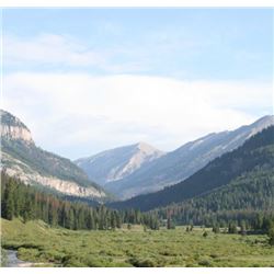 Jackson Wyoming Granite Ranch Vacation Cabin for 2 Days 3 Nights and 9 meals for 2 people