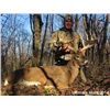 Image 3 : Ohio 180 Class Whitetail Hunt for 1 Hunter