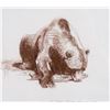 Image 1 : Bear