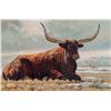 Image 1 : Longhorn