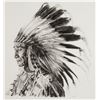 Image 1 : Sioux Indian Chief
