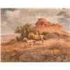 Image 1 : Bringing in the Colt