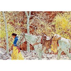 Sacred Canyon Way