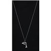 Image 1 : 14KT WHITE GOLD DIAMOND PENDANT NECKLACE