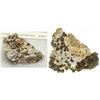 Image 1 : Silver Mineral Specimens
