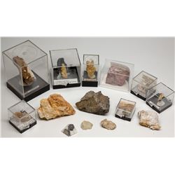 Humboldt County Gold Specimen