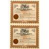 Image 1 : Standard Mines Co. Stock Certificates (2)