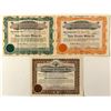 Image 1 : Tahoe Treasure Mining Co. Stock Certificates (3)