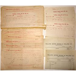 Yellow Aster Mining & Milling Co. Documents