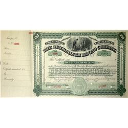 Quicksilver Mining Company SPECIMEN Stock Certificate, National Bank Note Co.