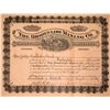 Image 1 : The Brown Low Mining Co. Stock Certificate, 1889