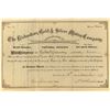 Image 1 : Richardson Gold & Silver Mining Company Stock 1879