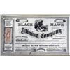 Image 1 : Black Hawk Mining Company. Chimevald District along Colorado River