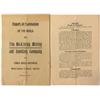 Image 1 : Report of the Mines of the McKinley Mining and Smelting Co.