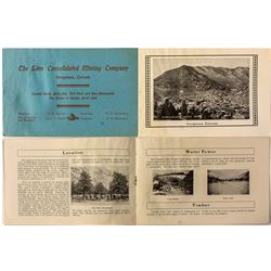 The Linn Consolidated Mining Company