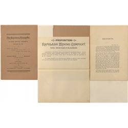 Napoleon Mining Co Prospectus