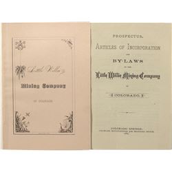 Prospectus for Little Willie Mining Company