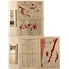 Image 1 : Mining Maps and a Prospectus for San Juan Co.