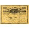 Image 1 : Salmon Gold Mining Co.