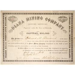 Diana Mining Company