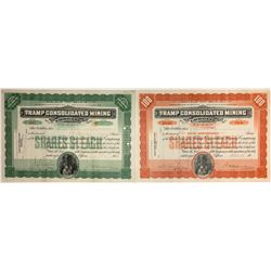 Tramp Consolidated Mining Co. Stocks