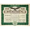 Image 1 : Panther Mines Company, Inc. Stock Certificate