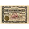 Image 1 : The Nevada Mines Company Stock 1907