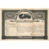 Image 1 : The Gold Creek, Nevada, Townsite Company Stock
