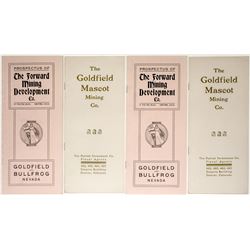 Goldfield Promo Pamphlets