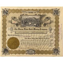 The Buena Vista Gold Mining Co. Stock 1908