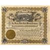 Image 1 : The Buena Vista Gold Mining Co. Stock 1908