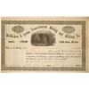 Image 1 : McMahon & Irvine Consolidated Mining and Milling Co. Stock
