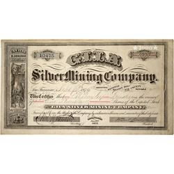 Gila Silver Mining Company Stock