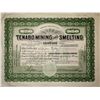 Image 1 : Tenabo Mining and Smelting Company Stock