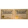 Image 1 : Nevada-Commonwealth Mining & Milling Company Stocks