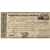 Image 1 : Commercial Bank of Buffalo Stock Certificate