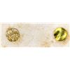 Image 2 : New Varieties of Coins and Bullion, Eckfeldt and Du Bois, 1850 w/ Original Gold Samples