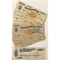 Arizona RN-G Check Collection