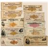 Image 1 : Southern States RN Variety Collection (incl. color varieties)