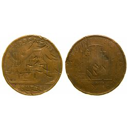 1896 Parrot Mine Token