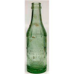  The Best by a Dam Site  Coke Bottle (2)