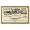 Image 1 : Buffalo Brewing Company Stock Certificate, Sacramento, Cal.