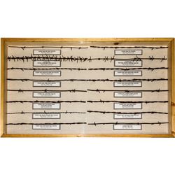 Barbed Wire Display Case 1